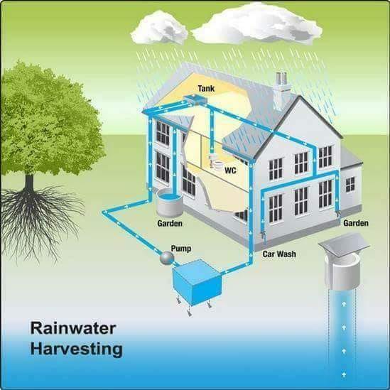 rainwater-harvesting-at-homes
