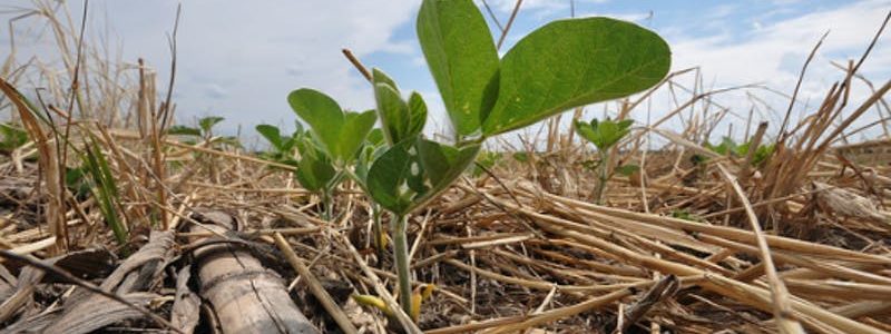 Improving health fertility and life within soils