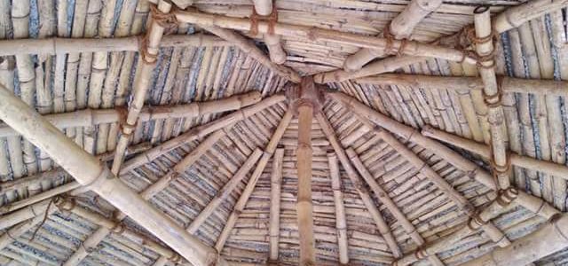 bamboo reinforced roofing மூங்கில் காங்கிரீட்