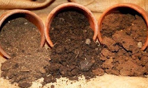 A Basic Understanding of Soil