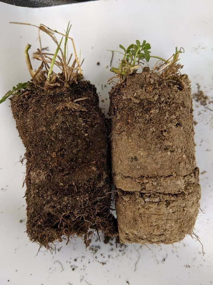How to Grow Soil