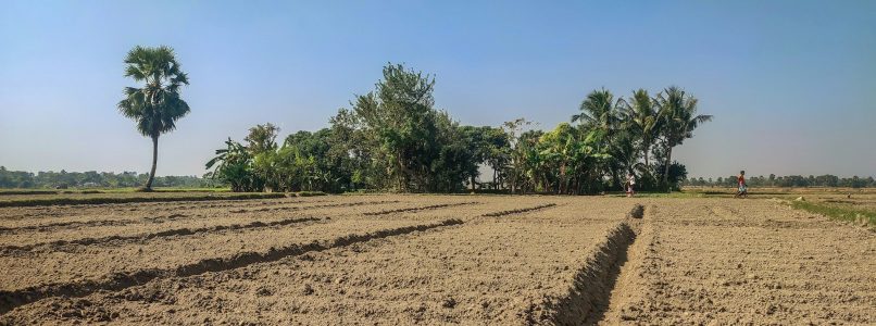 natural fertilizers